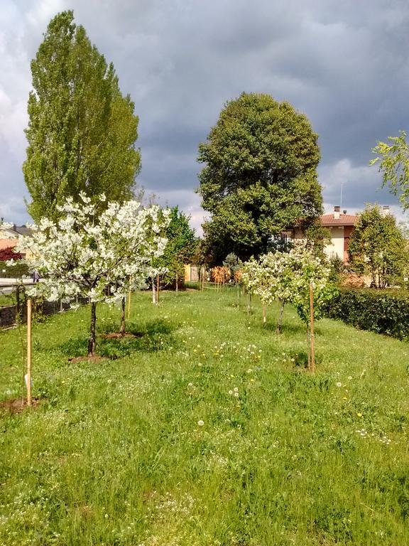 Casa Kaletheia Βίλα Volpago del Montello Εξωτερικό φωτογραφία